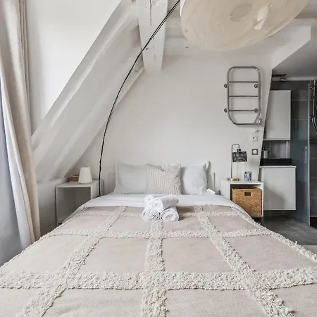 Flat Near Le Louvre Paris